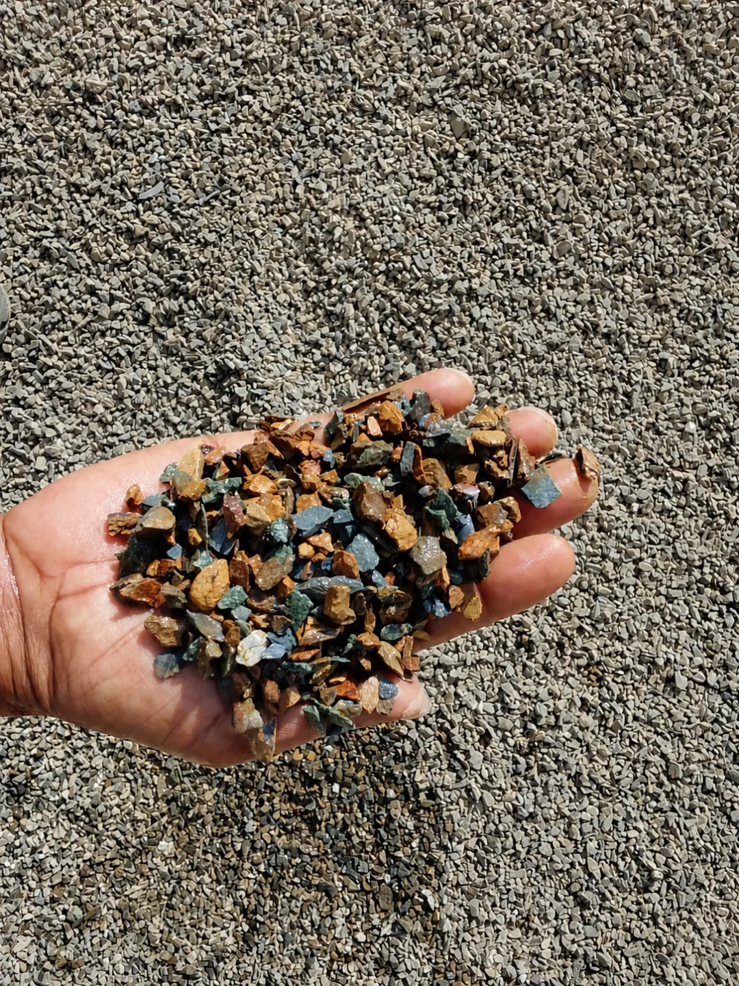 Construction aggregate being visually checked before laboratory testing